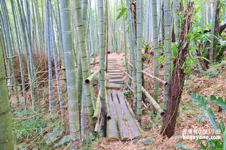 嘉義｜瑞里綠色隧道