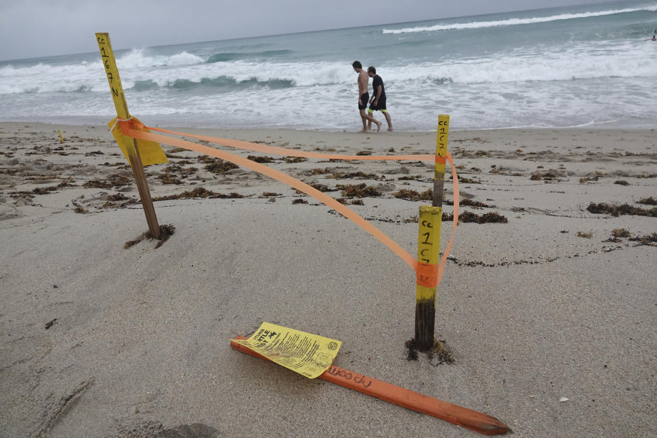 A turtle nest which was washed away in Delray Beach is seen, Sunday, Aug. 2, 2020, as Tropical Storm Isaias brushes past the East Coast of Florida. (Joe Cavaretta/South Florida Sun-Sentinel via AP)