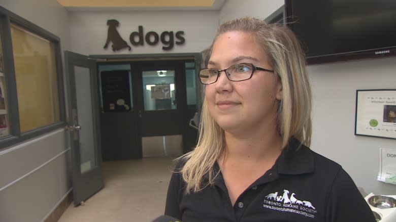 Woman bitten by pit bull while protecting her dog issues warning