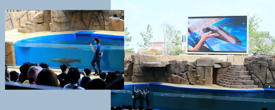 桃園水族館 Xpark 八景島水族館