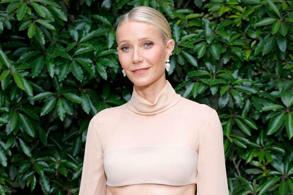 <p>Stefanie Keenan/Getty</p> Gwyneth Paltrow