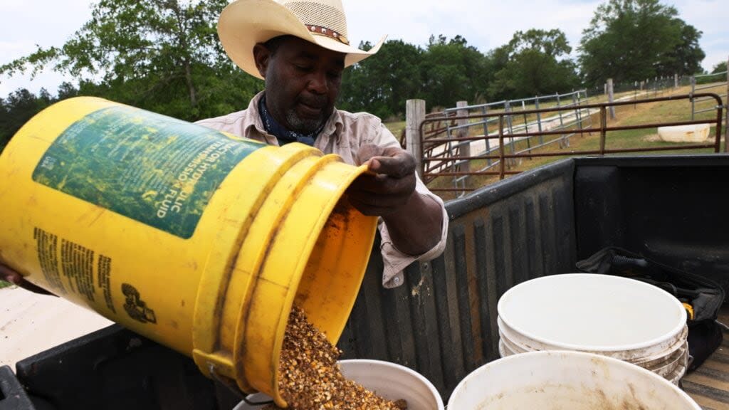 Handy Kennedy, founder of AgriUnity cooperative, prepares feed for his cows on HK Farms last month in Cobbtown, Georgia. (Photo by Michael M. Santiago/Getty Images)