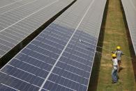 FILE PHOTO: File photo of workers cleaning photovoltaic panels inside a solar power plant in Gujarat