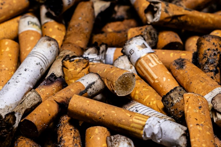 Unas colillas de cigarrillos, fotografiadas en París el 17 de abril de 2024 (Joel Saget)