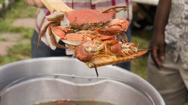 Whole craf and shrimp on paddle over outdoor pot