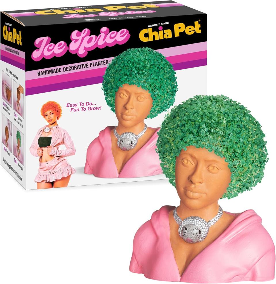 ice spice chia pet