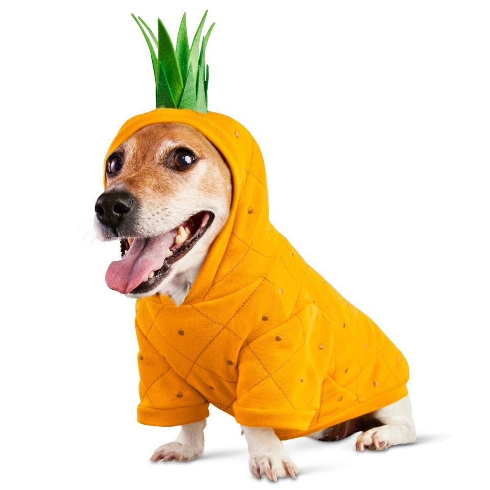  Pina Colada Pineapple Dog Hoodie