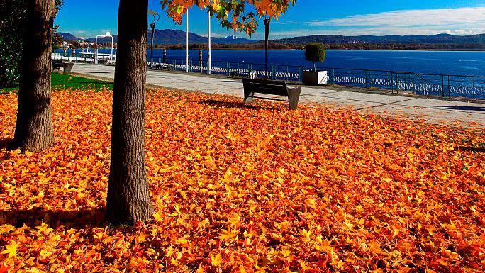 30 Beautiful Fall Pictures