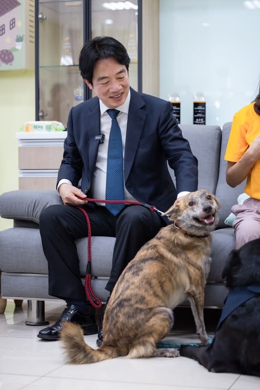  總統賴清德宣布領養流浪犬「斑斑」。 圖：總統府提供 