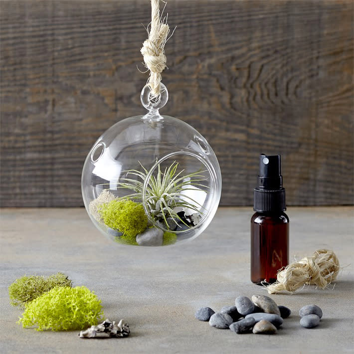 <p>Get your moss on with this terrarium kit that allows you to customize your own hanging air plant. Each kit comes with a live air plant, glass globe, and decorative elements like stones and preserved lichens and moss. </p><p>Buy it <a rel="nofollow noopener" href="http://williams-sonoma.7eer.net/c/249354/265127/4291?subId1=IS%2CHOL%2CGAL%2CHolidayGiftsForDIYLovers%2Clkane1271%2C201711%2CT&u=https%3A%2F%2Fwww.williams-sonoma.com%2Fproducts%2Fhanging-air-plant-terrarium-kit" target="_blank" data-ylk="slk:here;elm:context_link;itc:0;sec:content-canvas" class="link ">here</a> for $32.</p>