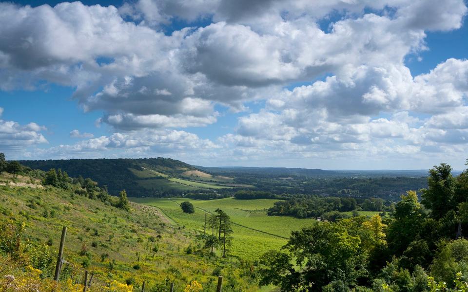 box hill