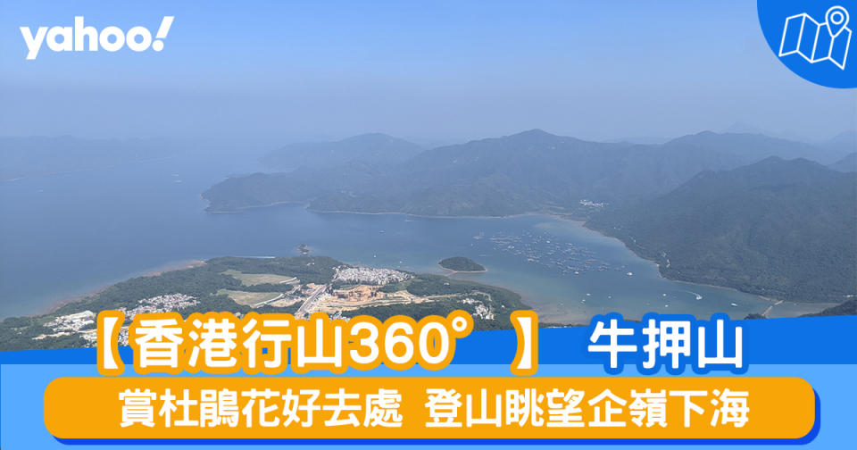 【行山路線】360度睇牛押山：賞杜鵑花好去處 登山眺望企嶺下海