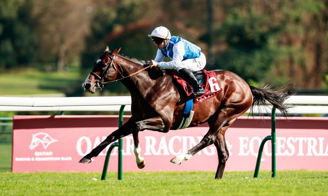 <span>Sosie, trained by André Fabre, romps to victory in the Prix Niel.</span><span>Photograph: Zuzanna Lupa/Racingfotos.com</span>