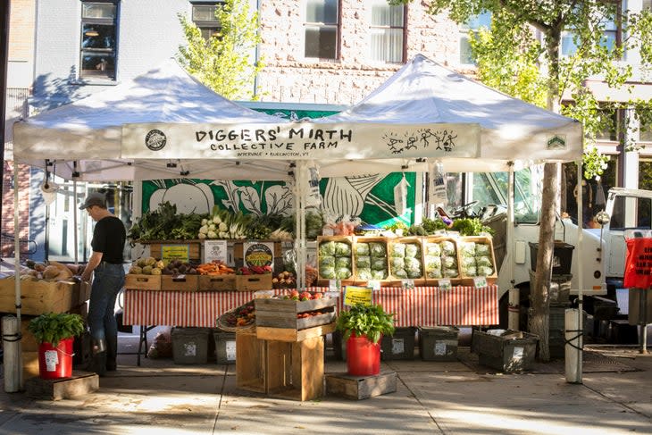 Fresh, local vegetables on display at the Diggers' Mirth Collective Farm booth at Burlington Farmers Market in City Hall Park on Saturday, September 29, 2018. by JAM Creative for Yankee Magazine