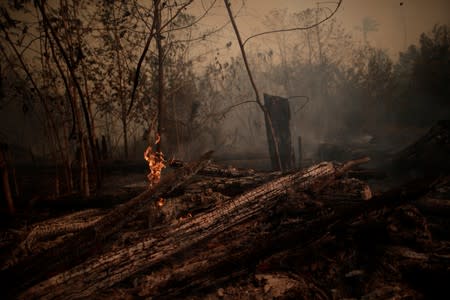 A burning tract of Amazon jungle is seen while as it is being cleared by loggers and farmers in Porto Velho