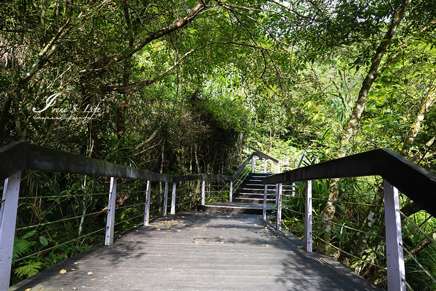 桃園大溪｜舊百吉隧道＆百吉林蔭步道