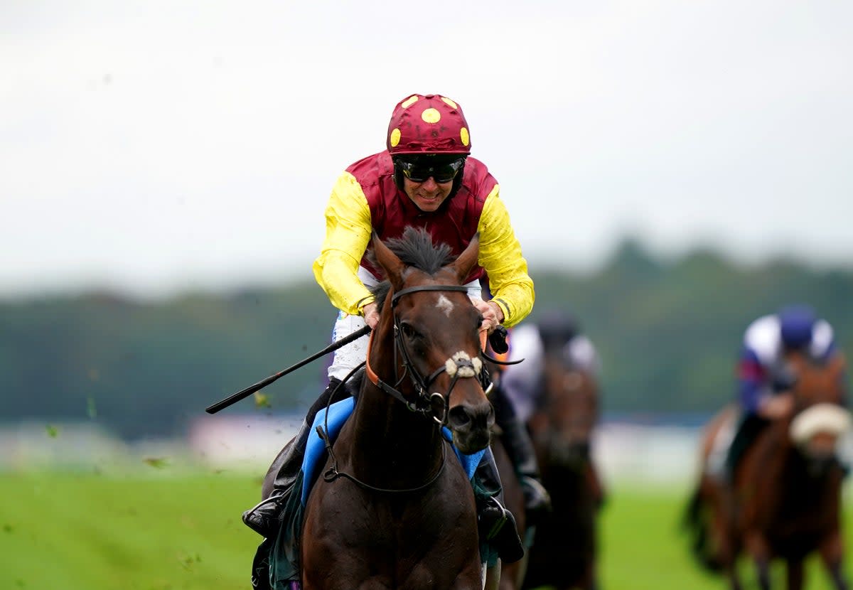 Extra distance: Room Service will look to step up in the Burrandon Stakes (Tim Goode/PA Wire)