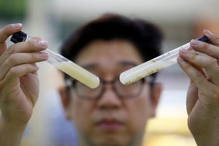 Kim Young-wook, CEO of the private-sector Korean Edible Insect Laboratory (KEIL), looks at water-soluble edible insect powder (L) and non water-soluble one that are both dissolved in water, in Seoul, South Korea, August 8, 2016. REUTERS/Kim Hong-Ji
