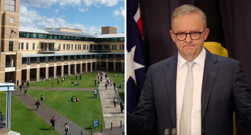 University campus next to Anthony Albanese