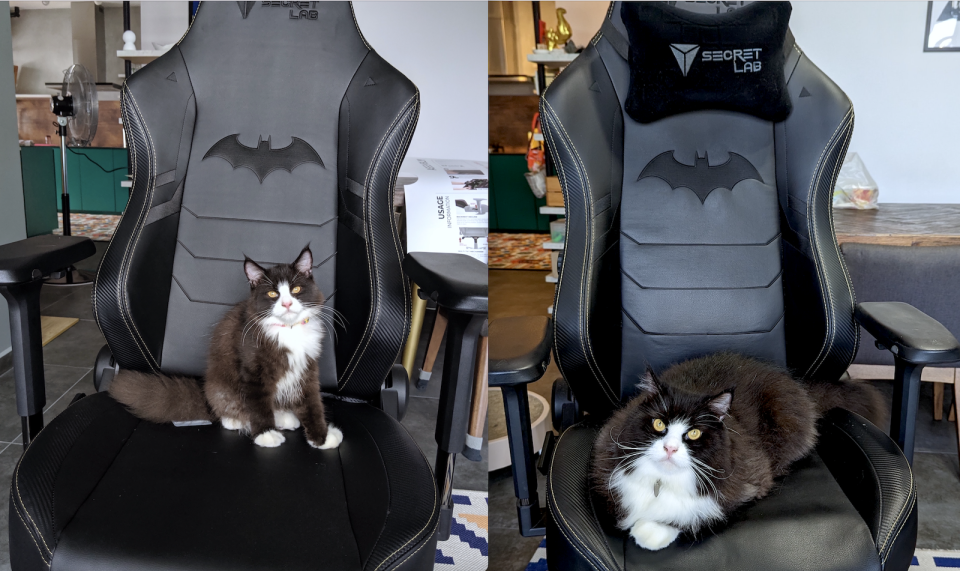 A composite picture of a cat on a Secretlab chair, four years apart