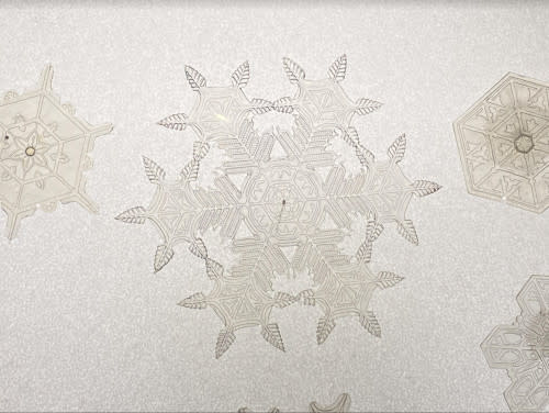 Nathan Coleman: These intricate models of snow crystals were created by Edwin Reiber for the Cranbrook Institute of Science (Michigan). The models were the 