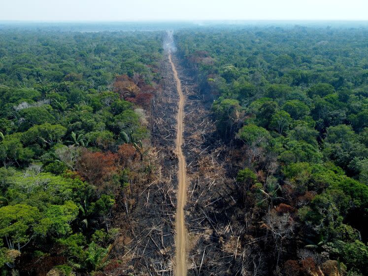 TOPSHOT - A deforested and burnt area is seen on a stretch of the BR-230 (Transamazonian highway) in Humaitá, Amazonas State, Brazil, on September 16, 2022. - According to the National Institute for Space Research (INPE), hotspots in the Amazon region saw a record increase in the first half of September, being the average for the month 1,400 fires per day. (Photo by MICHAEL DANTAS / AFP) (Photo by MICHAEL DANTAS/AFP via Getty Images)