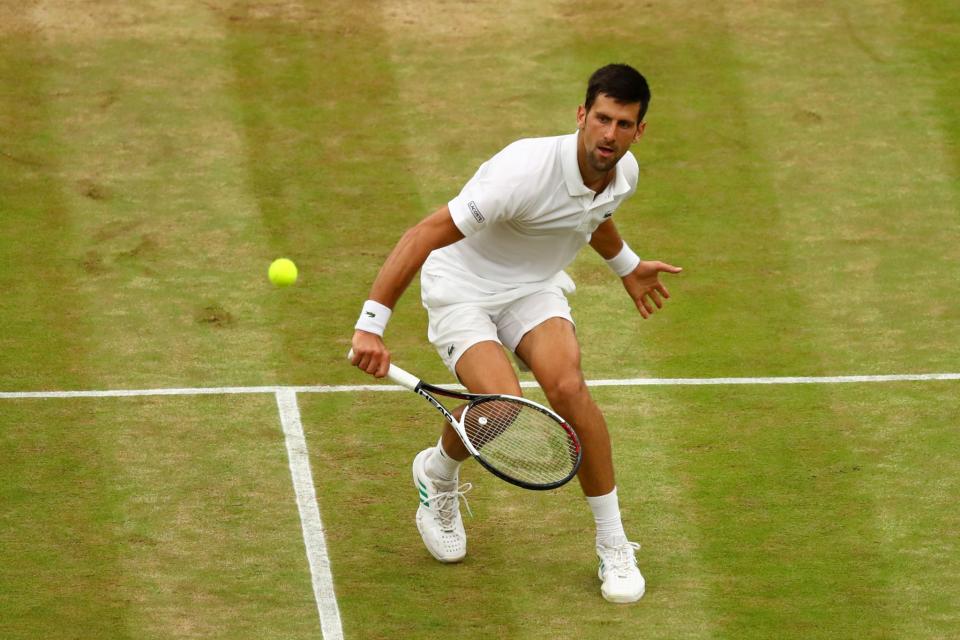 Se terminó el año para Djokovic