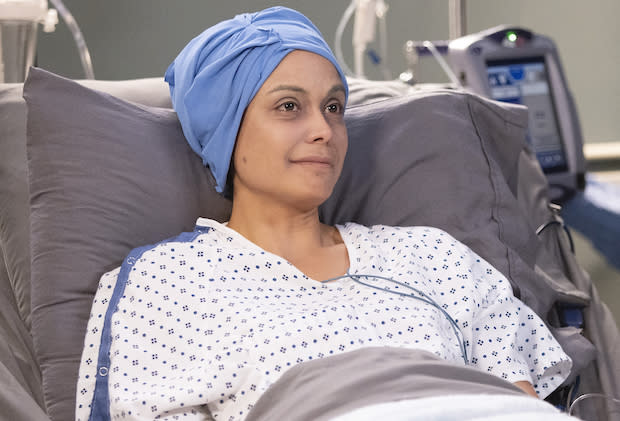 Greys Anatomy Recap Season 19 Episode 10 penis surgery