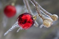 Christmas ornaments are cased in ice following an ice storm in Toronto December 22, 2013. REUTERS/Bob Strong (CANADA - Tags: ENVIRONMENT)