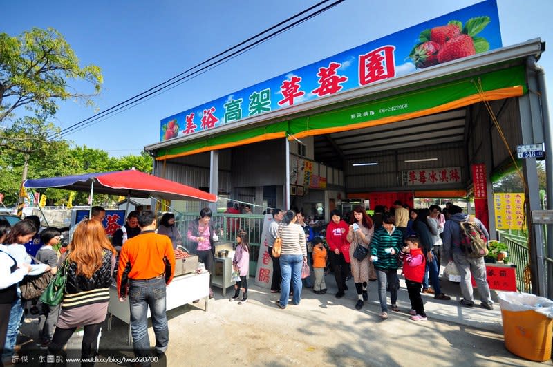 美裕草莓園除了採莓體驗，也提供草莓牛奶、草莓香腸和草莓季甜點。