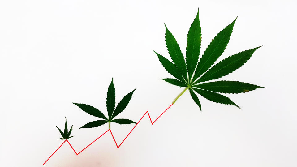 Three marijuana leaves on line chart that is going up and to the right.