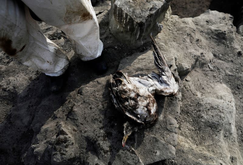 Workers clean up an oil spill in Ventanilla