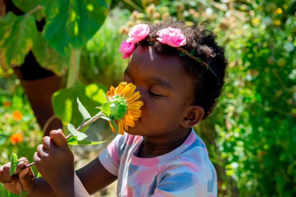 Manat White-Bay, 4, smells a sunflower in the garden at her home in Oak Park on July 17. Her mom, Alexandria White, wanted to build an urban garden so her kids would have a connection to how food is grown and wouldn’t be afraid of dirt or bugs.