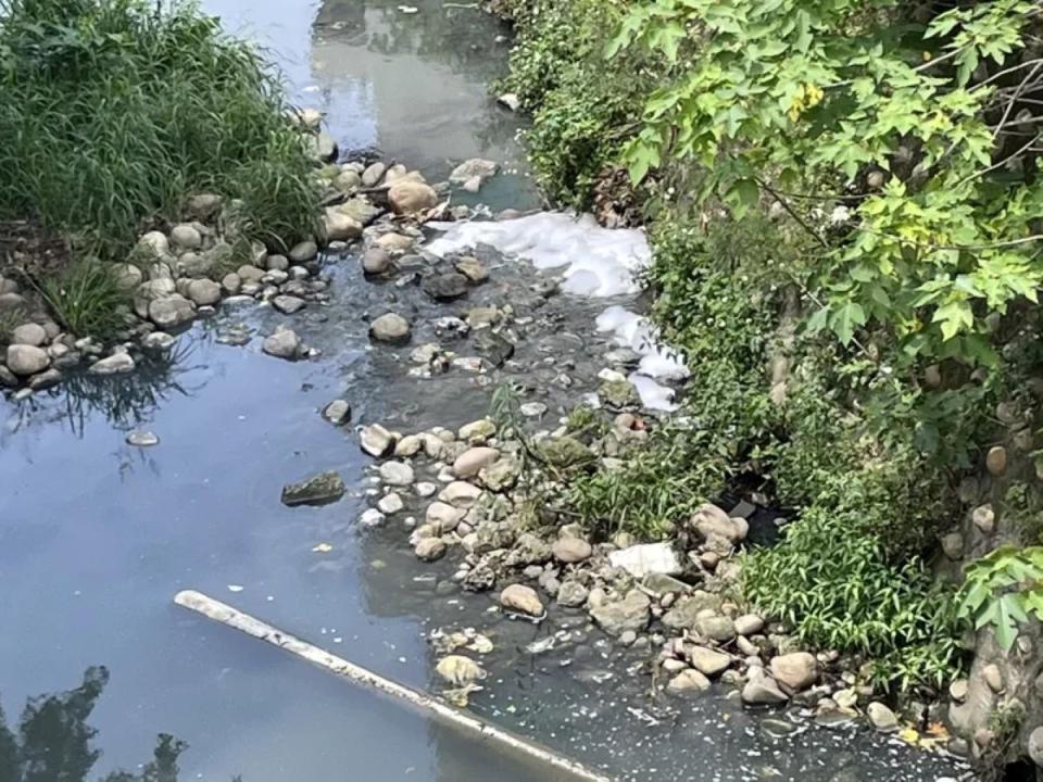 新豐鄉茄苳溪遭嚴重污染，溪水中白色泡沫和惡臭讓民眾難忍受。（圖：環保局提供）