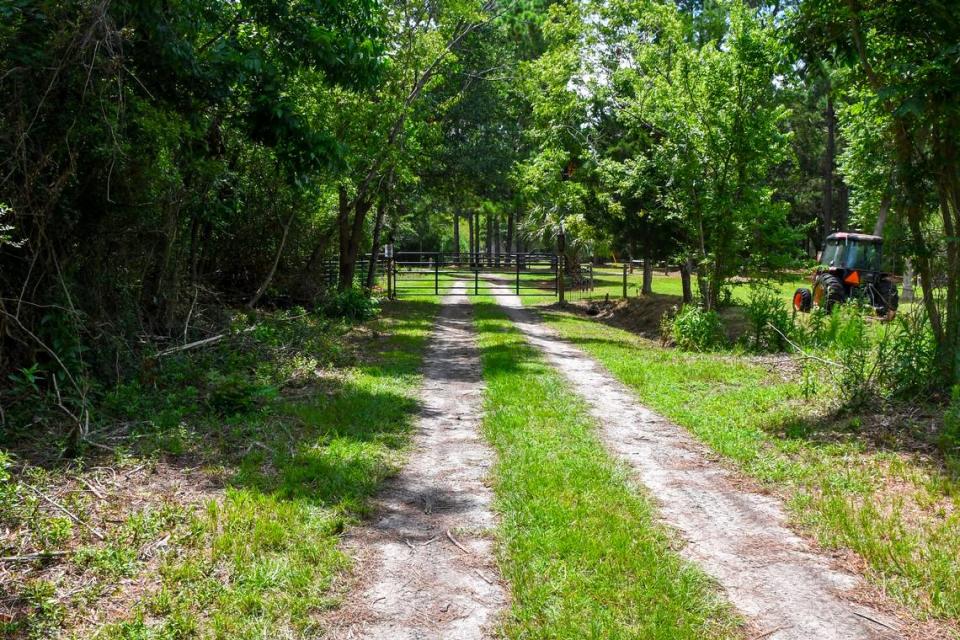 The locked gate at Terri Aigner’s property and neighbors as photographed on Wednesday, July 10, 2024 at the end of Everest Road on St. Helena Island. Aigner, who maintains that the road beyond the gate is private, erected it after numerous vehicles and large trucks used by funeral homes, damaged the road after a heavy rainfall, leaving it impassable.