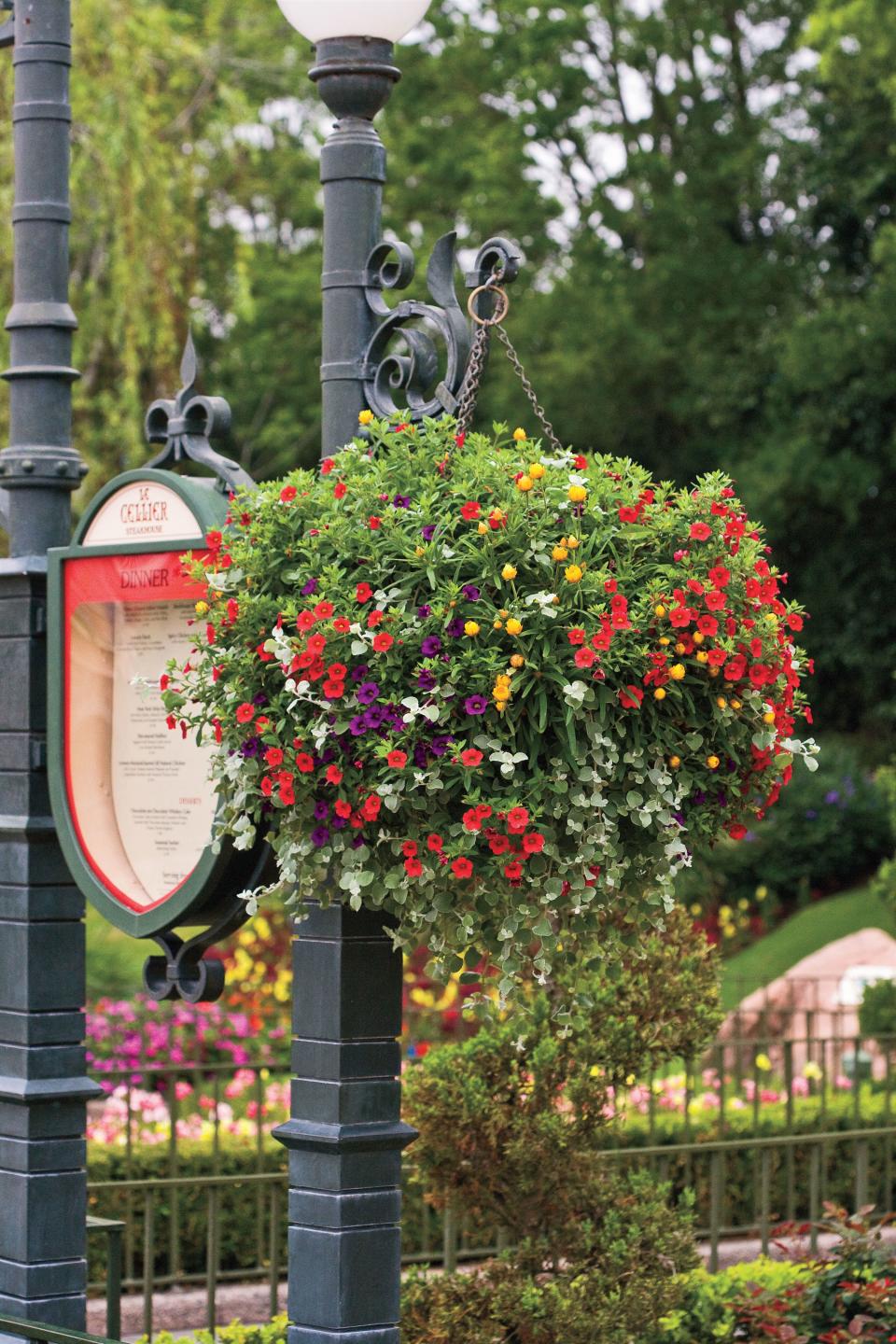 Colorful Hanging Container