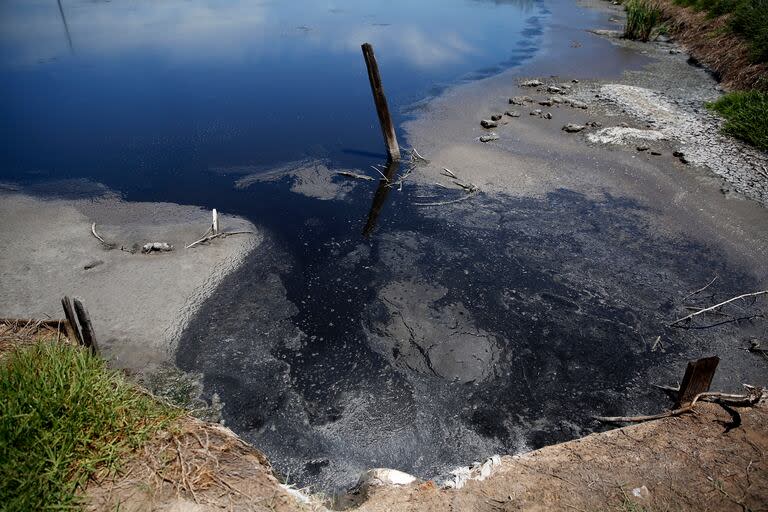 Frigoríficos en zona de Tiegre y El Talar tiran desehechos contaminantes al rio.




