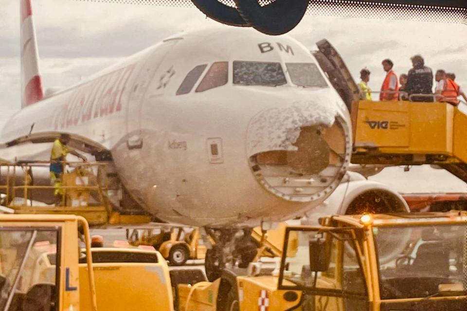 <p>exithamster/Instagram</p> The Austrian Airlines plane