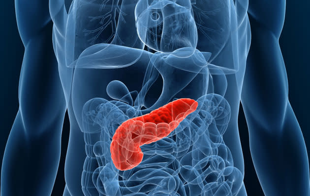 Pancreas transplant for insulin-dependent diabetes: A new national programme