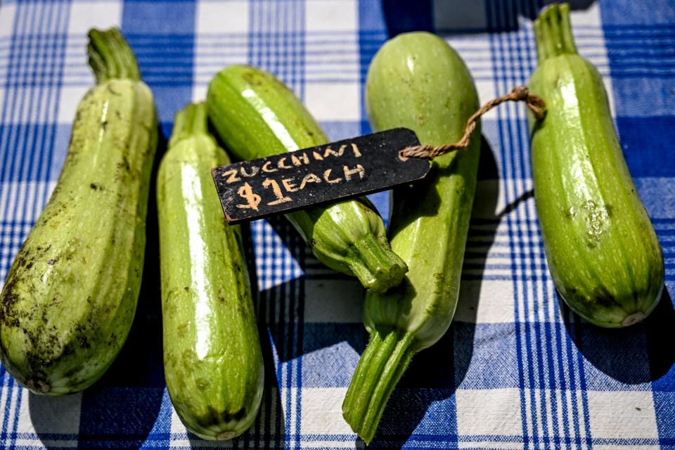 Fresh zucchini for sale at the Highwater Farms booth at the Allen Farmers Market on Wednesday, July 17, 2024, in Lansing.
