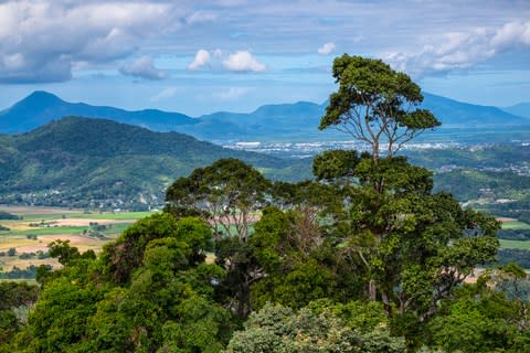 Kuranda's rainforest, with views over Cairns in the distance - Credit: getty