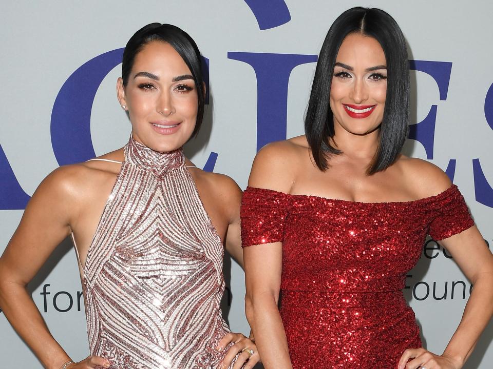 brie and nikki bella in 2022