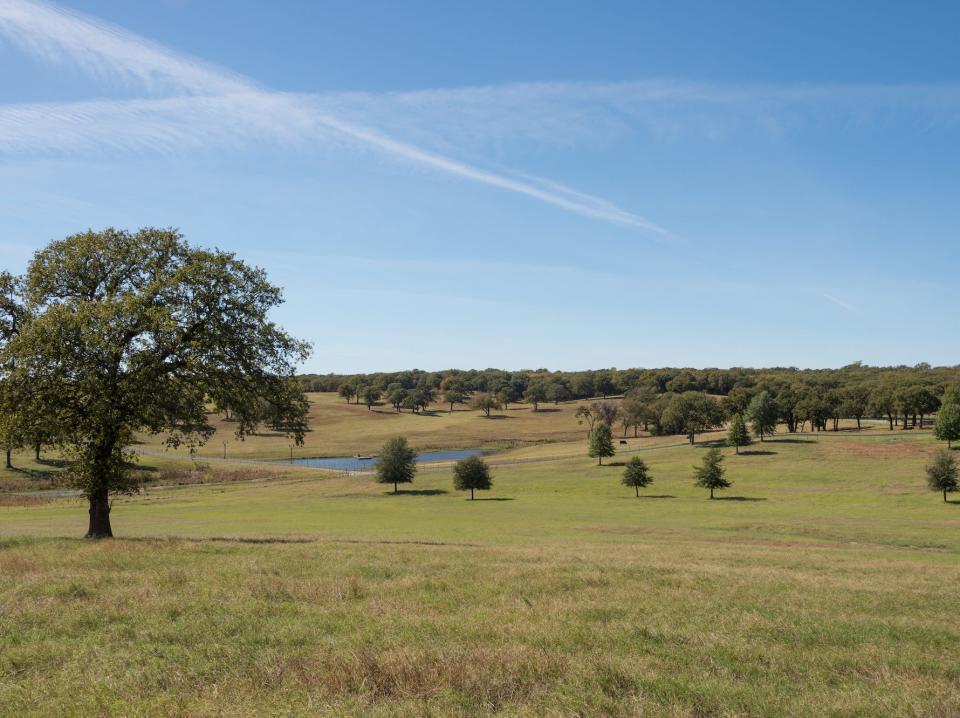 A view of rolling grass fields and trees on Terry Bradshaw's ranch.