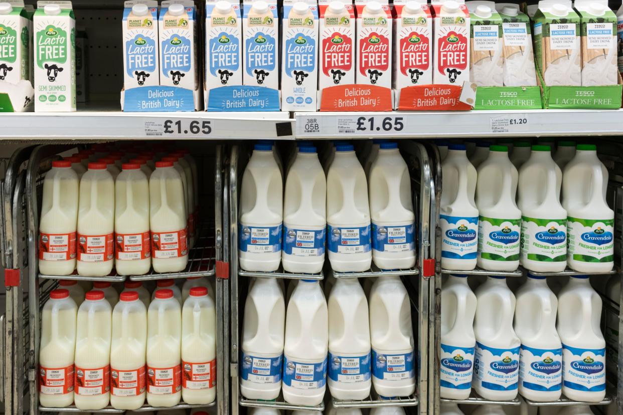 UK inflation Supermarket shelves with regular dairy milk in plastic containers and lactose free milk in cartons at Tesco, a UK supermarket