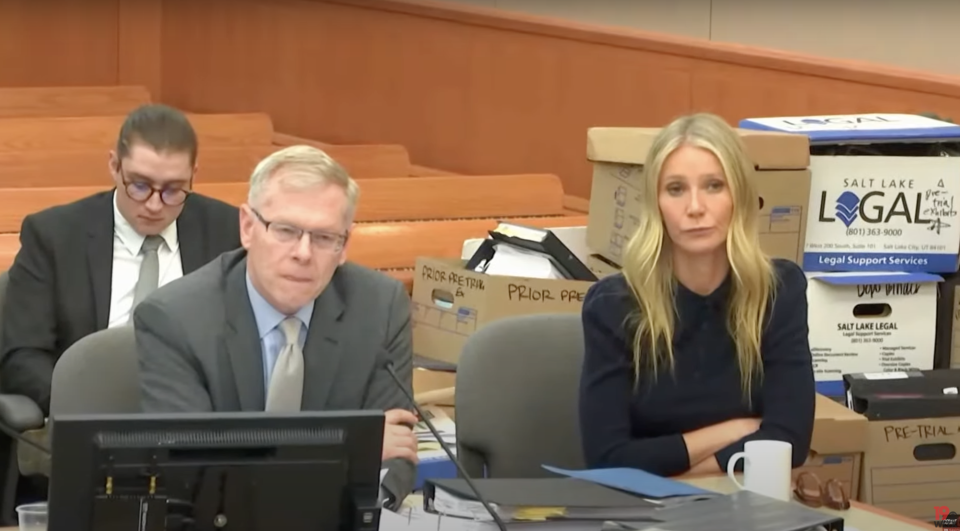 Gwyneth's Lawyer Calls Expert a 'Nerd'