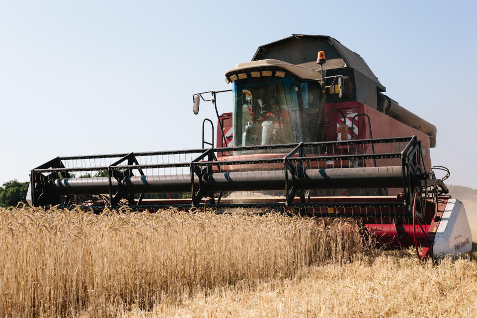 Harvester in the field. Harvesting combines in the fields of Novovodolazhsky district of Kharkiv region, Ukraine on July 25, 2017. (Photo by Pavlo Pakhomenko/NurPhoto via Getty Images)