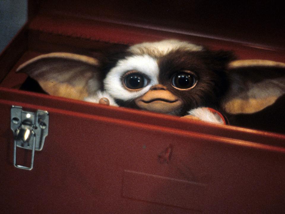 Gizmo in the 1984 film "Gremlins."