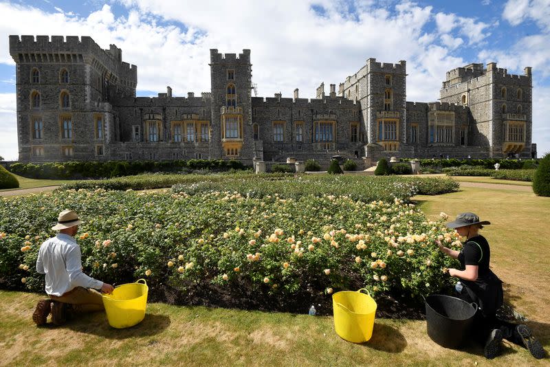 Opening of the East Terrace Garden at Windsor Castle the first time in decades