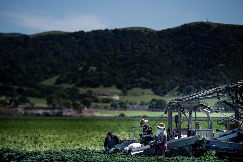 <span>Photograph: The Washington Post/Getty Images</span>