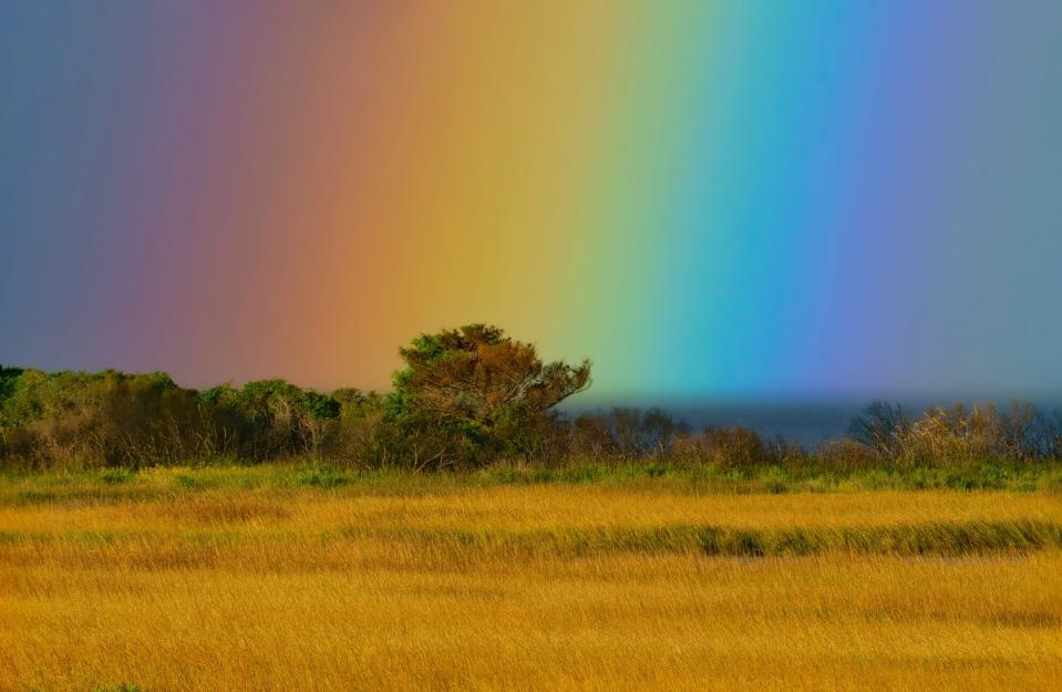 Rainbow End Pea Island